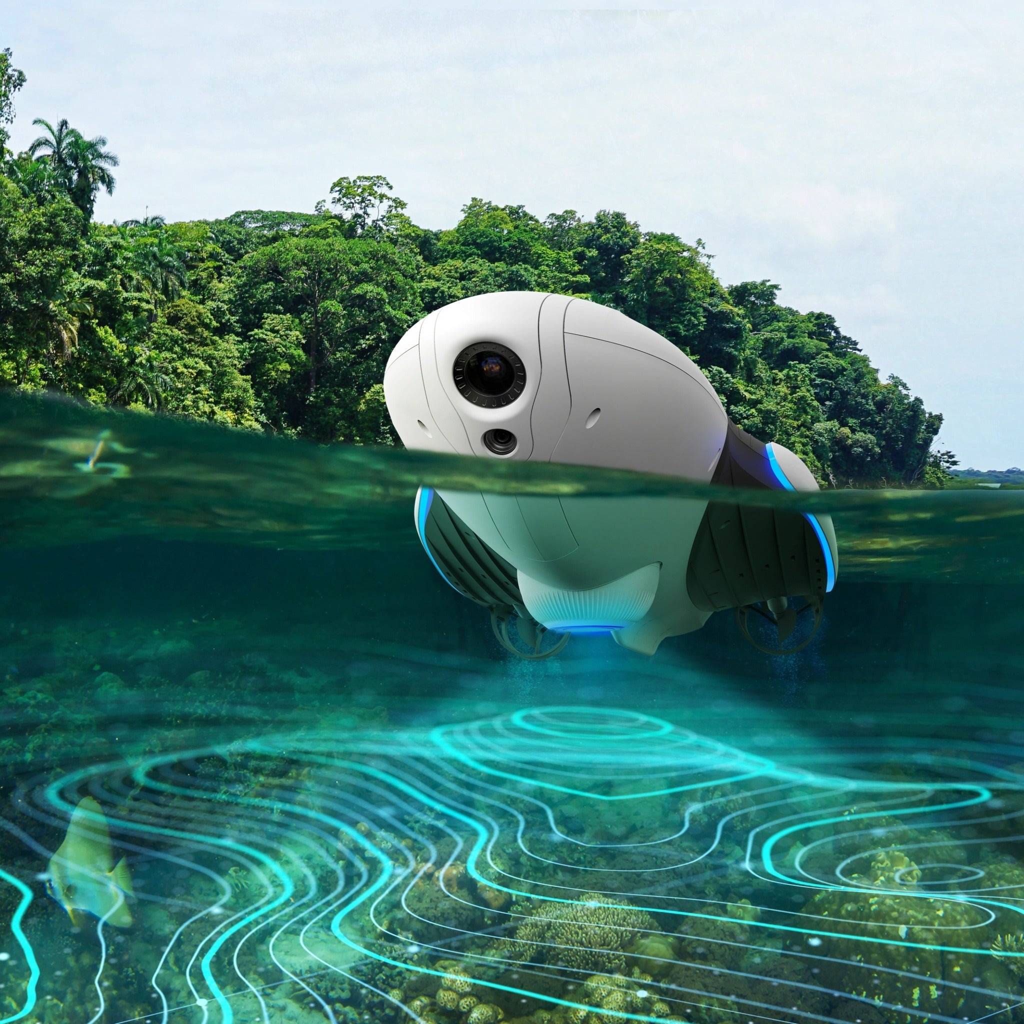 Power Dolphin Water Drone