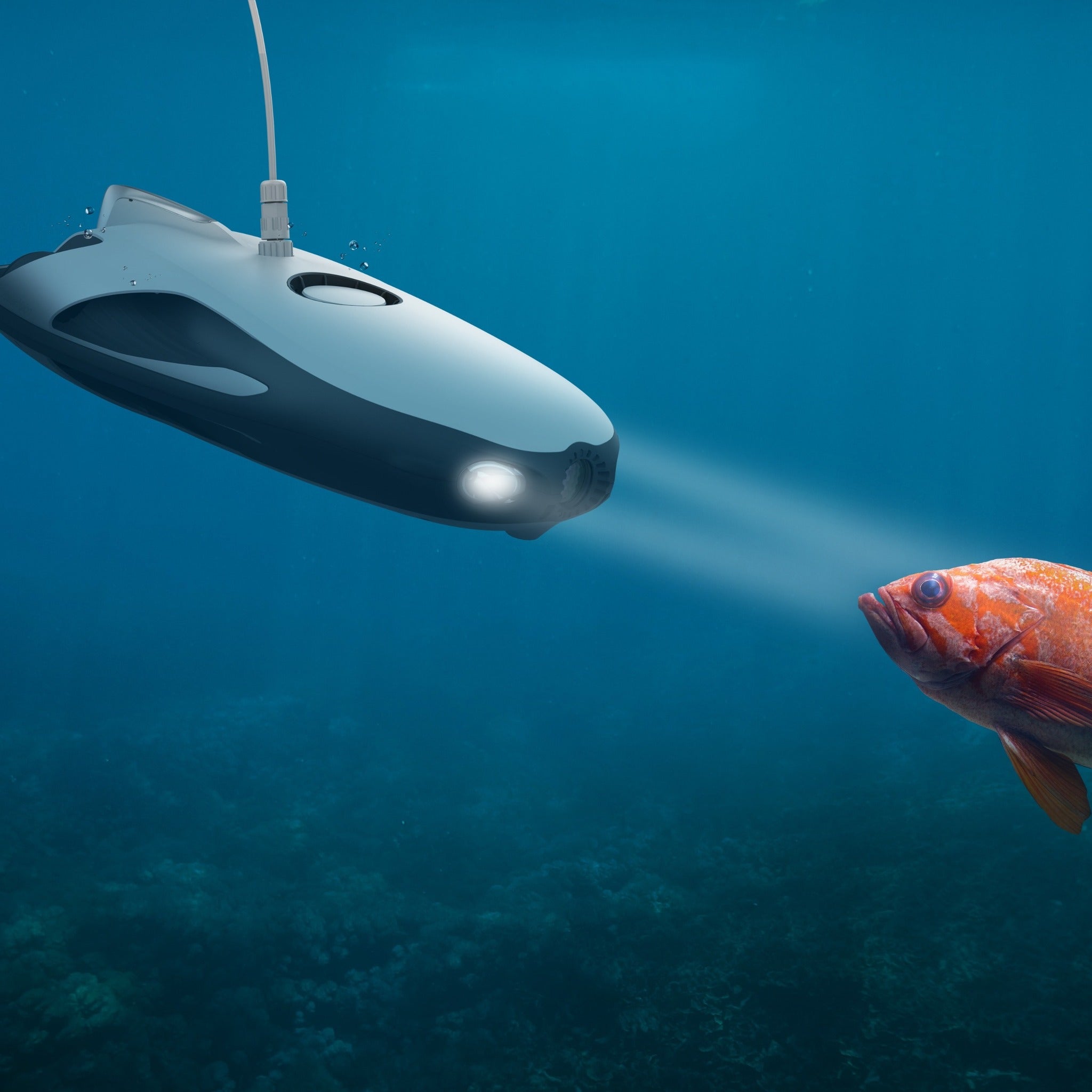 Power Ray Underwater Robot