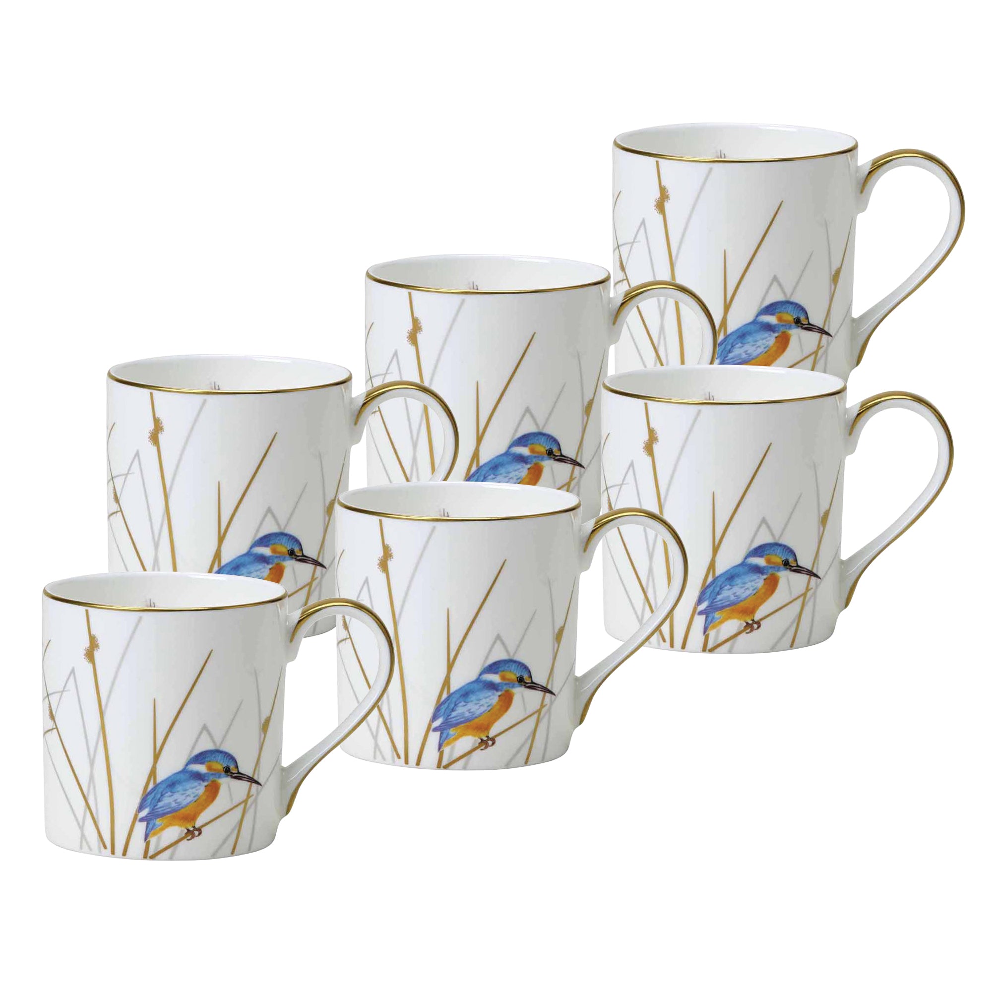 William Edwards Reed china collection